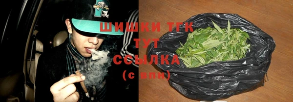 СК Верхний Тагил