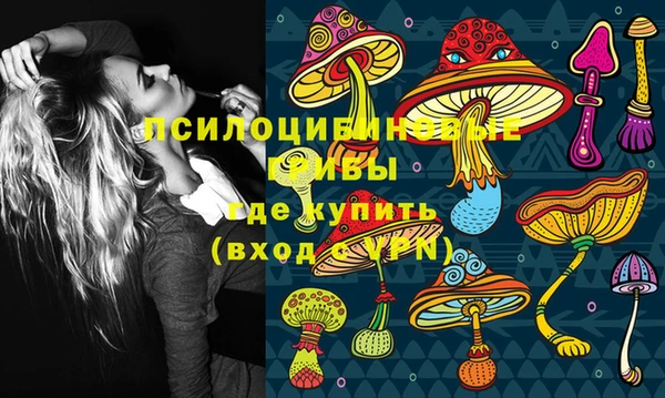 а пвп мука Верея